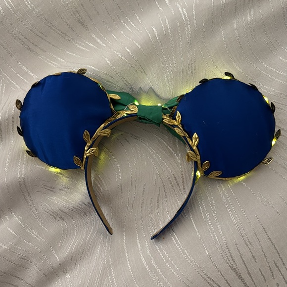 Fgcu Minnie ears custom made - Picture 3 of 4